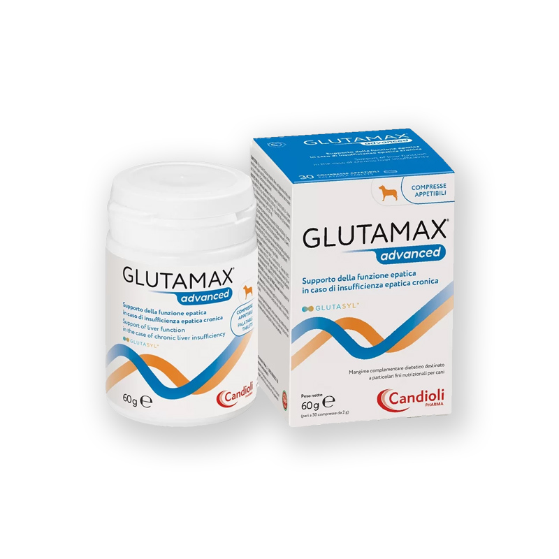 Glutamax Advanced Appetitive Paste 30ml - Leberunterstützung Für Hunde & Katzen